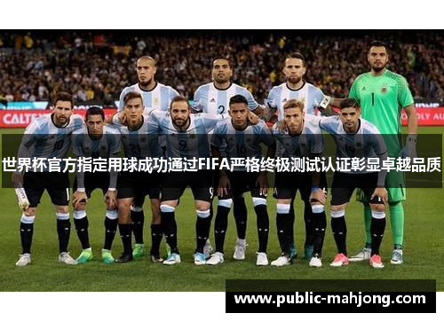 世界杯官方指定用球成功通过FIFA严格终极测试认证彰显卓越品质